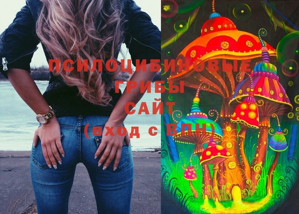 трава Армянск
