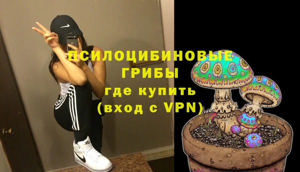 трава Армянск