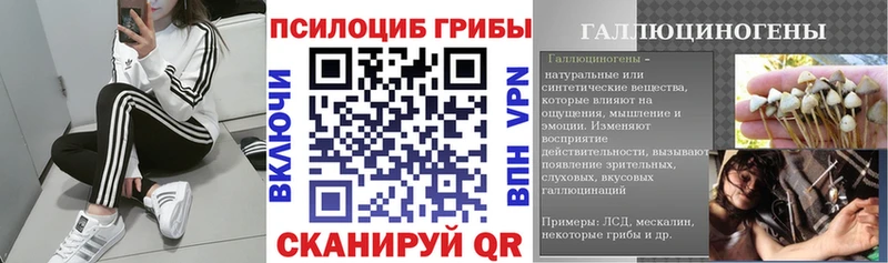 Галлюциногенные грибы прущие грибы  где продают   Чайковский 